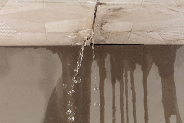 Professional Water Damage Inspection technician working in Lyons, TX